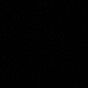 Meet your Posher, Sebastian